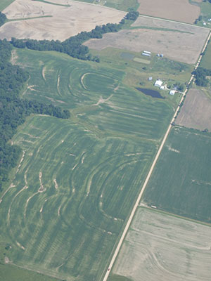 Missouri cornfields