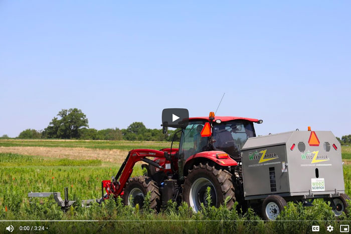 2020 Mizzou Weed Science Virtual Field Day Video 3: Evaluation Of Weed 