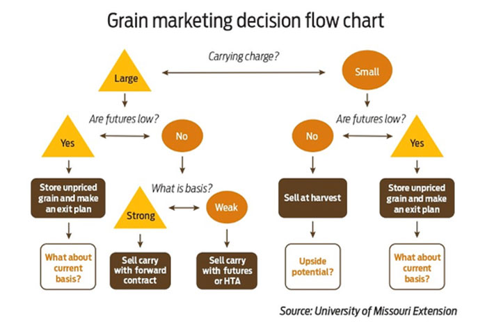 flow chart