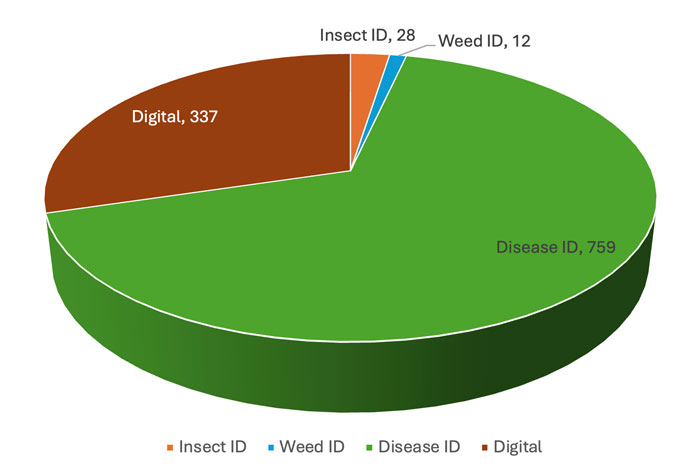 pie chart