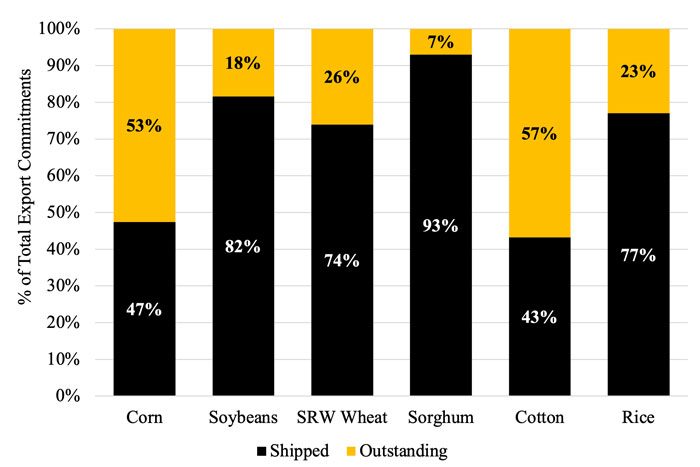 bar graph