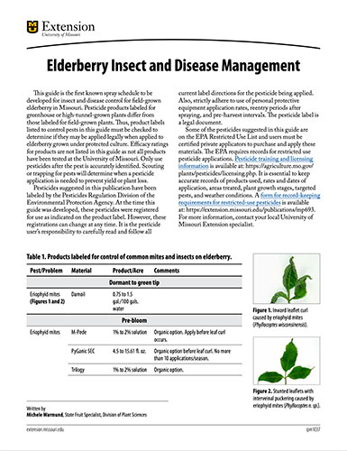 IPM1037: Elderberry Insect and Disease Management