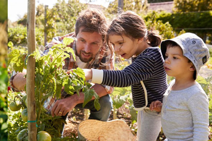 April Is National Gardening Month Get Out And Grow Missouri Environment And Garden News 