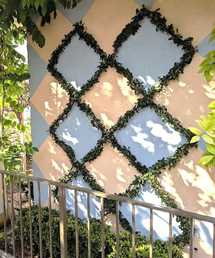 wall with diamond shaped foliage trails