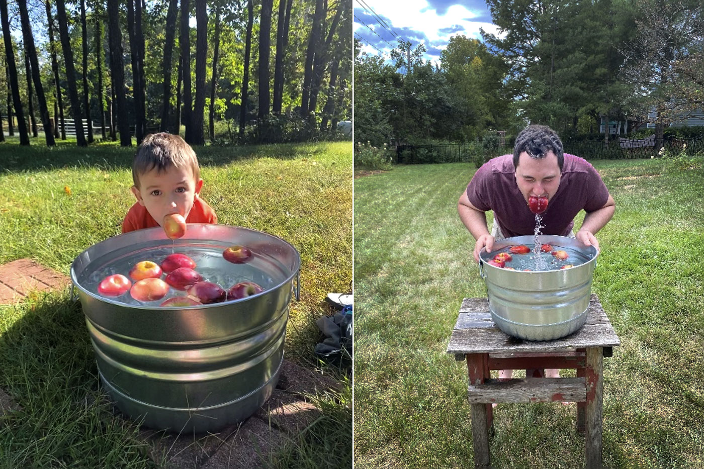 child on left and adult on right bobbing for apples in metal tub