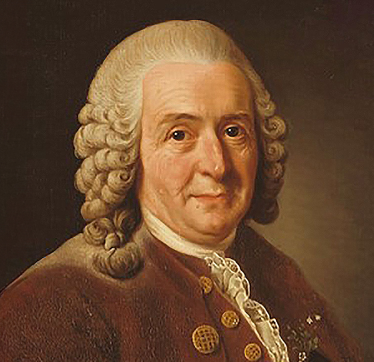 portrait of man with wig