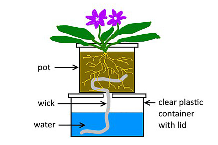 diagram of flower in pot on top of water resevoir with a wick connecting to pot