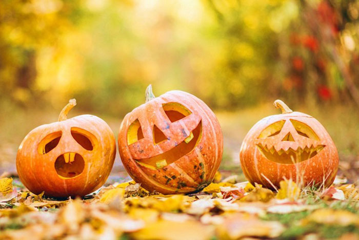 three pumpkins on ground with cutouts of faces