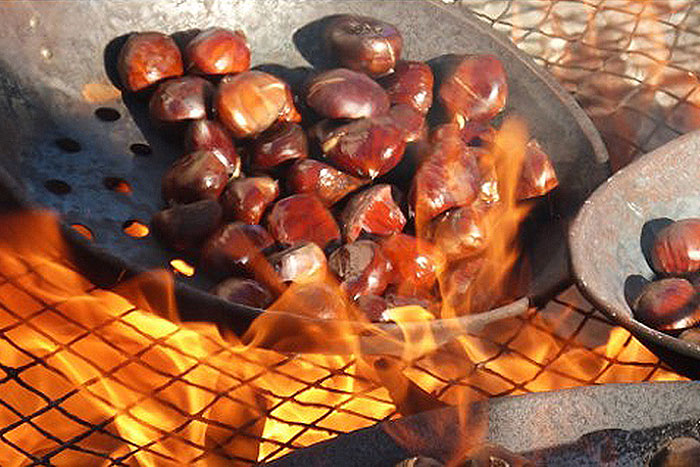 chestnuts on metal grate over fire pit