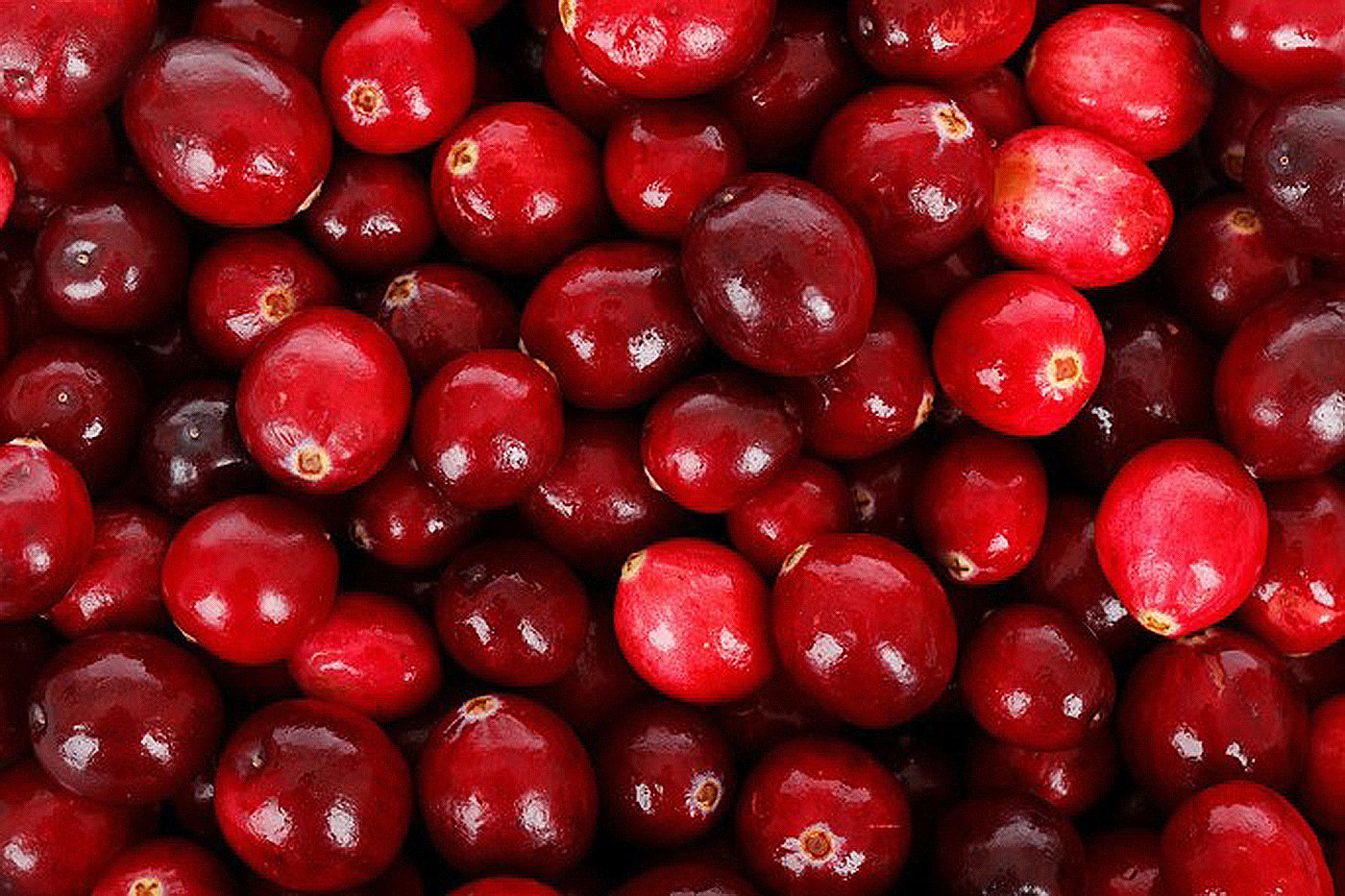 red berries