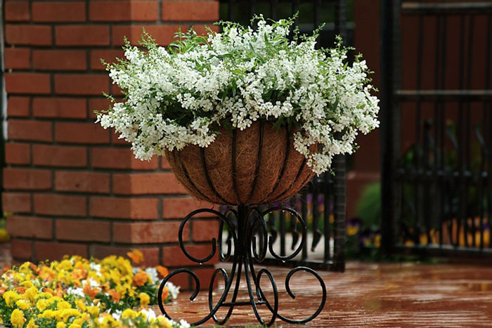 flower basket on stand with white petals