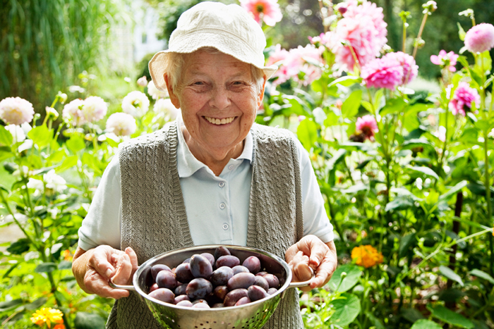 woman smiling holding pot of figs in flower garden