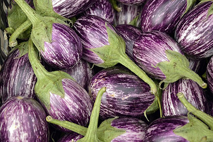 small eggplants with white stripes