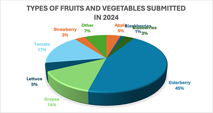 pie chart 4