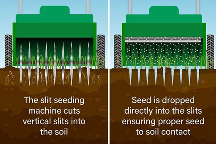 diagram of a slit seeder making slits on the left and spreading seed on the right