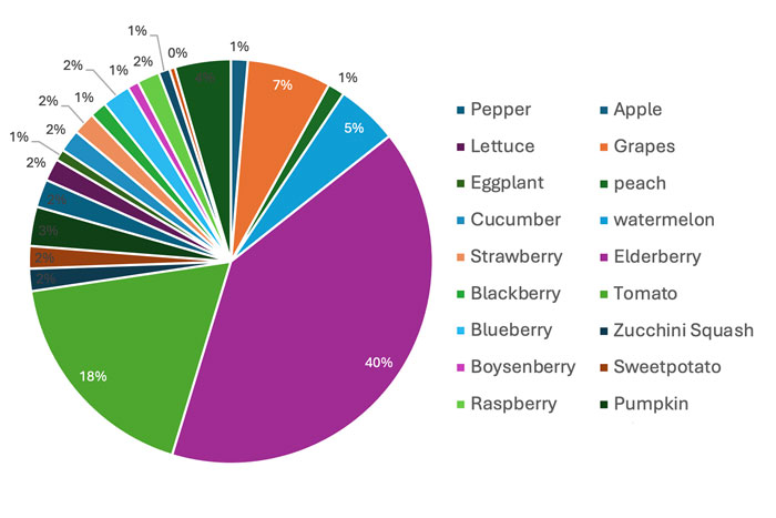 pie chart 3