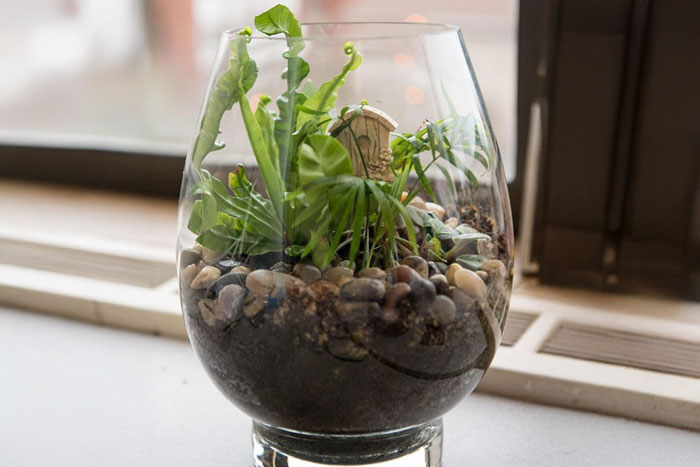 oval glass with plants