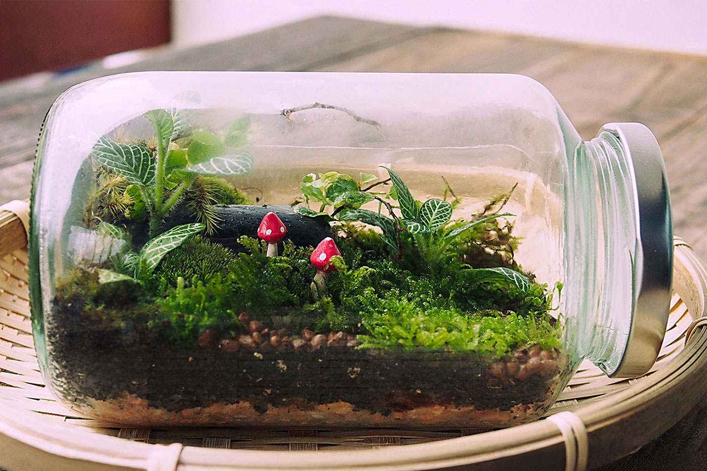jar with small plants and fake mushrooms