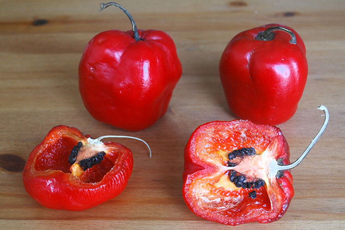 two short red peppers in background and 2 cross-sections in foreground