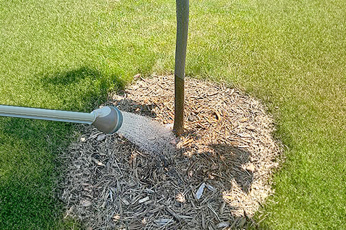 hose wand watering base of tree
