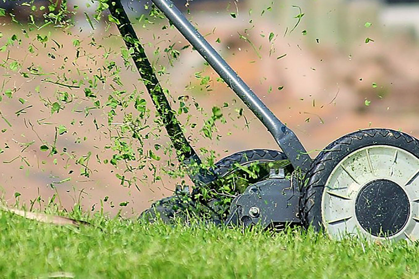 Types of Lawn Mowers Homeowners Should Consider