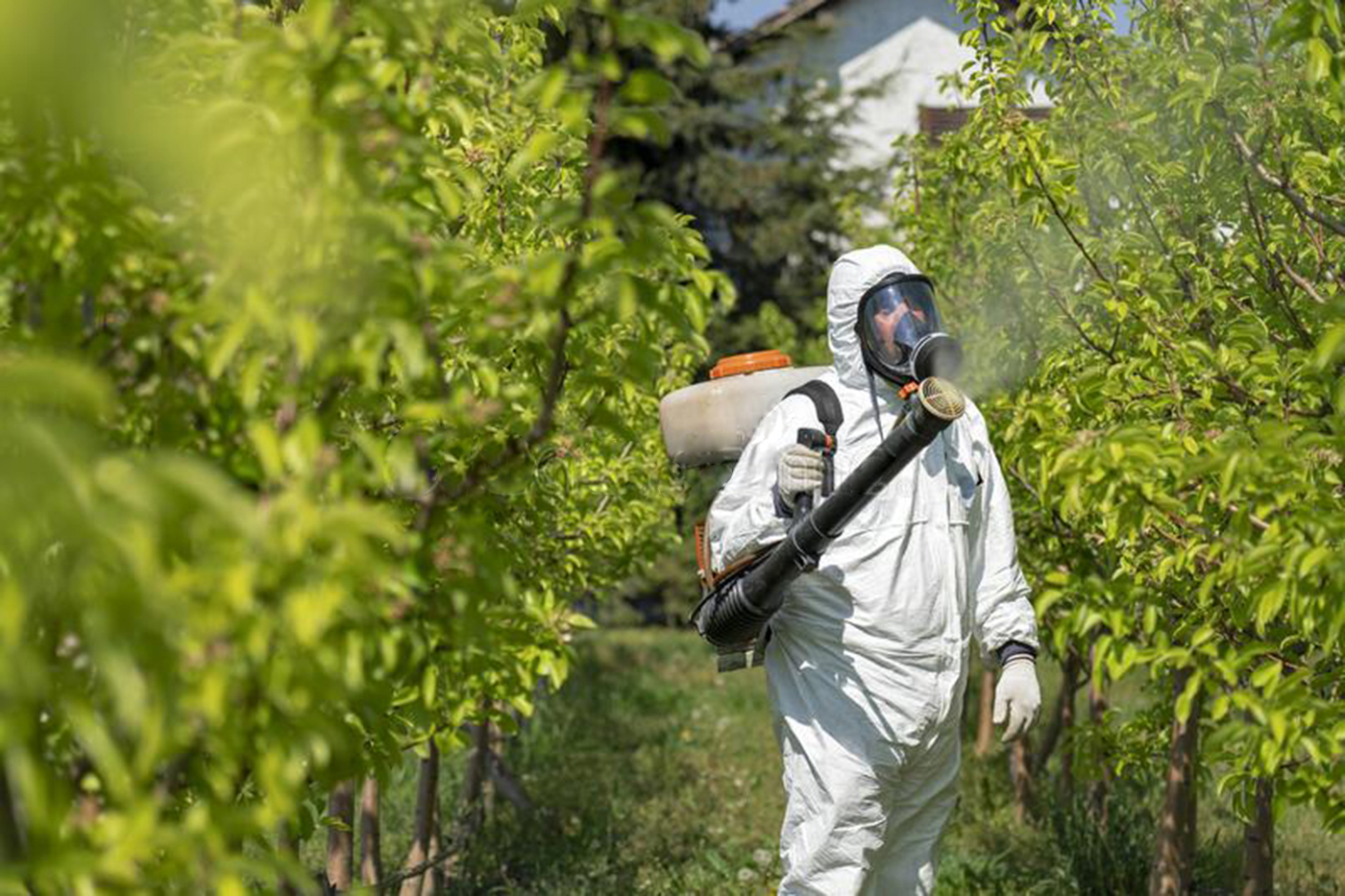 Strengthening Missouri's Agriculture: MU's Pesticide Safety Education ...