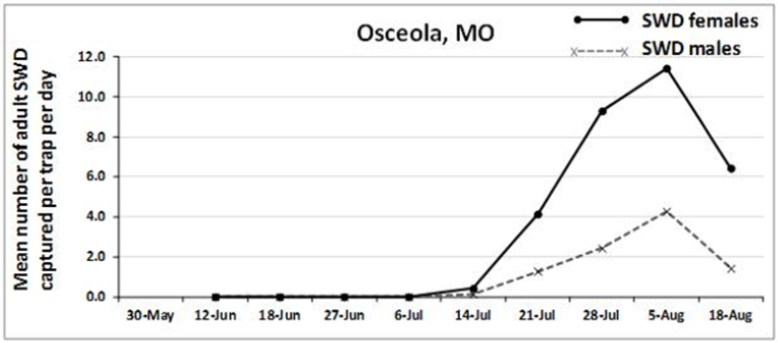 chart of Spotted Wing Drosophila captures in Osceola, MO between May and August 2014