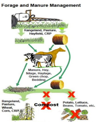 Forage and Manure Management flow chart