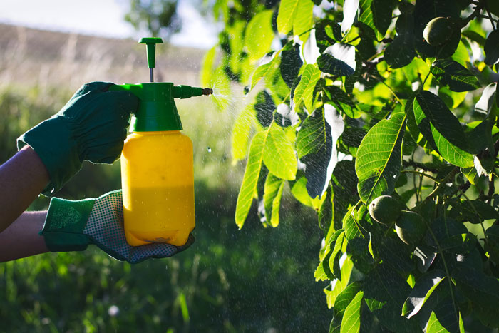 fungicide-groups-and-resistance-management-missouri-produce-growers