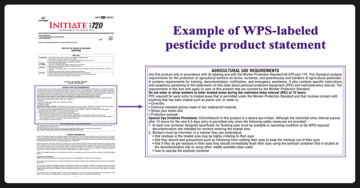 WPS-labeled pesticide product statement