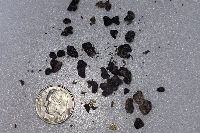 dark brown chunks with a dime for size reference. chunks are all a fraction of the size of the dime